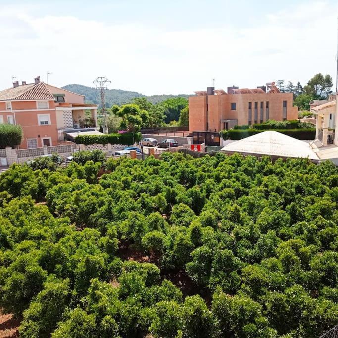 Apartament Piso Sierra Calderona A 15 Minutos Del Mar Estivella Zewnętrze zdjęcie