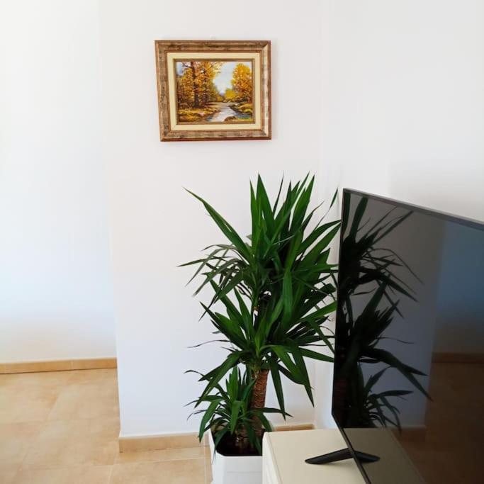 Apartament Piso Sierra Calderona A 15 Minutos Del Mar Estivella Zewnętrze zdjęcie